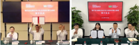 中國寶武，究竟儲(chǔ)備了多少鐵礦？